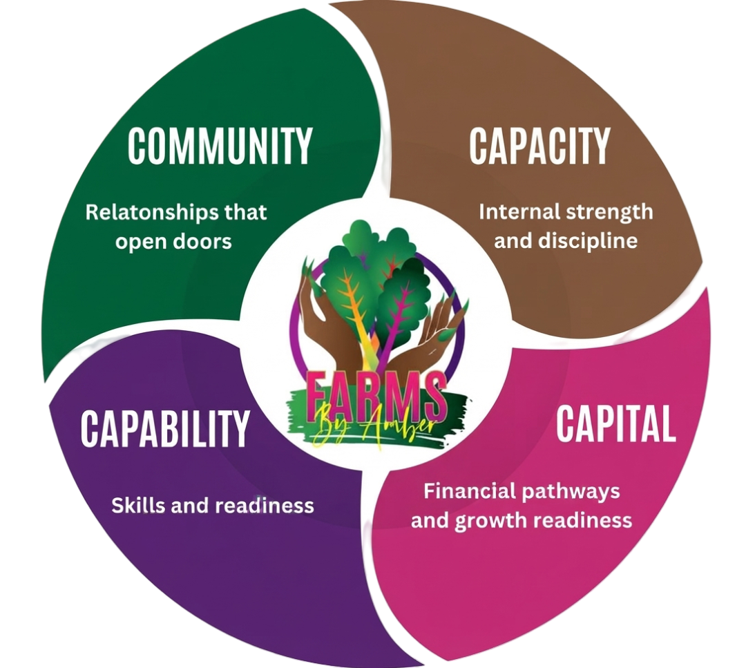 Our 4 Cs Framework